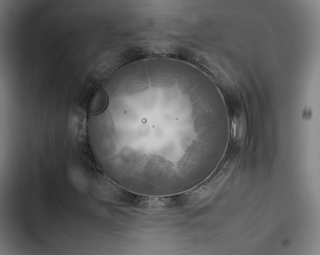 X0000103411251200809121257