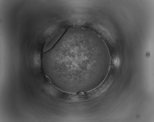 X0000103411252200809121257