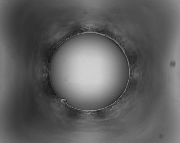 X0000103411253200809121257