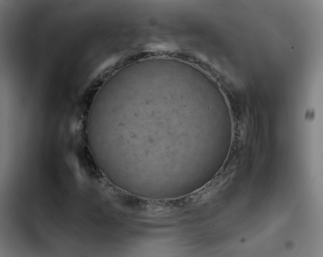 X0000103411254200809121257