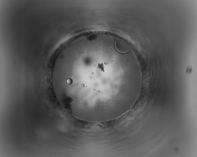 X0000103411255200809121257
