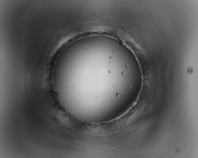 X0000103411256200809121257