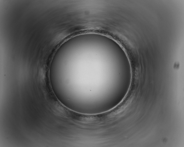 X0000103411257200809121257