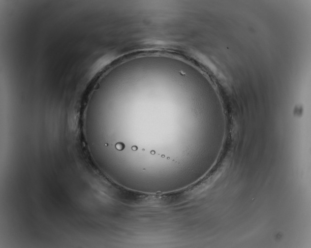 X0000103411259200809121257