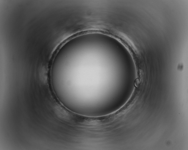 X0000103411260200809121257
