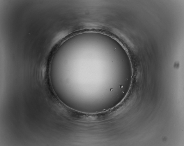 X0000103411261200809121257