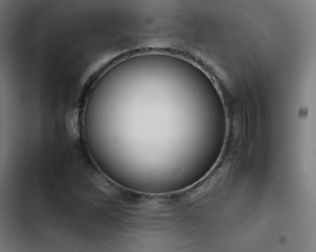 X0000103411262200809121257