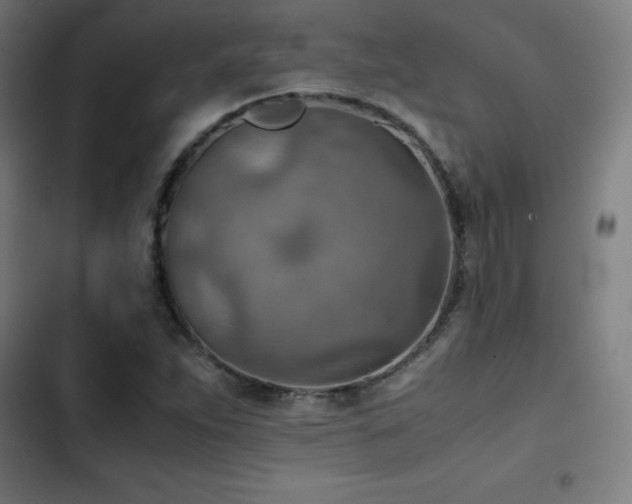 X0000103411263200809121257