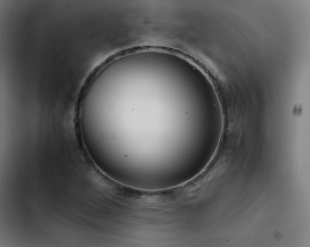 X0000103411264200809121257