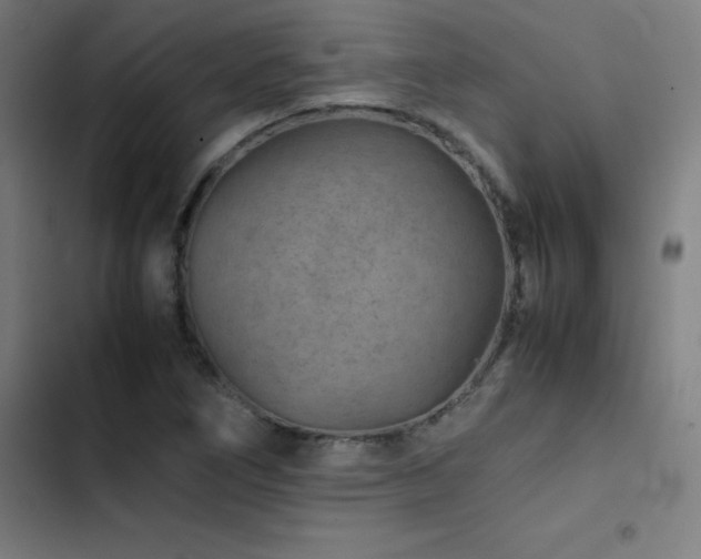 X0000103411266200809121257