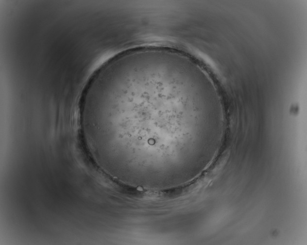 X0000103411267200809121257