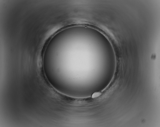 X0000103411269200809121257