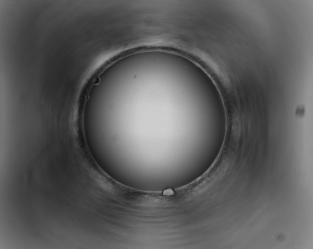 X0000103411270200809121257