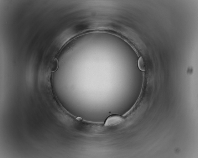 X0000103411273200809121257