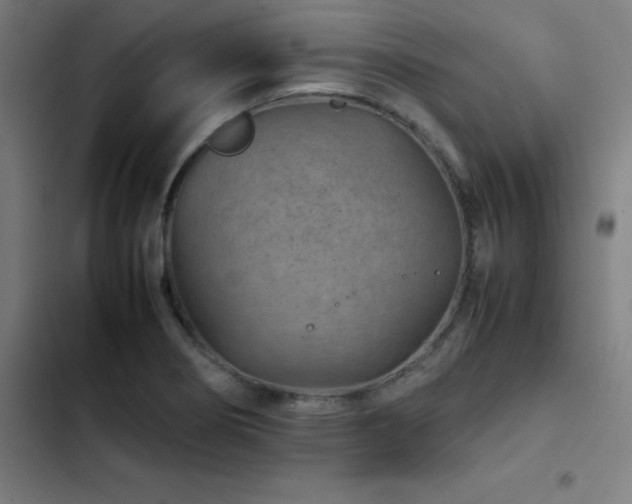 X0000103411274200809121257