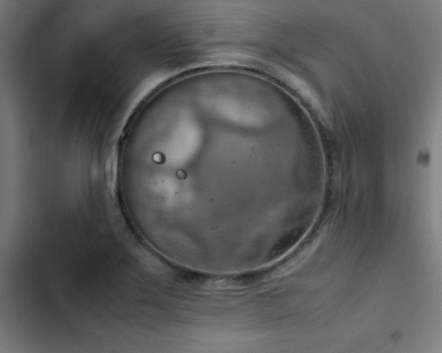 X0000103411275200809121257