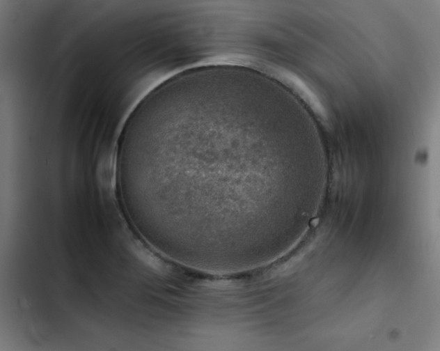 X0000103411276200809121257