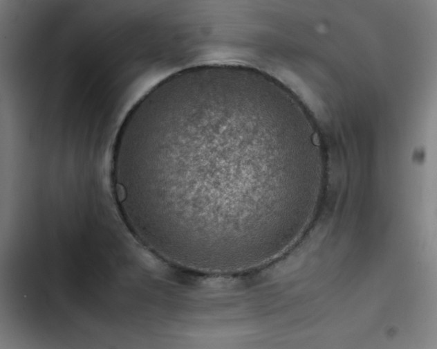 X0000103411277200809121257
