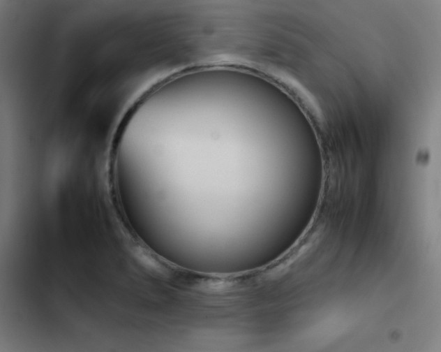 X0000103411278200809121257