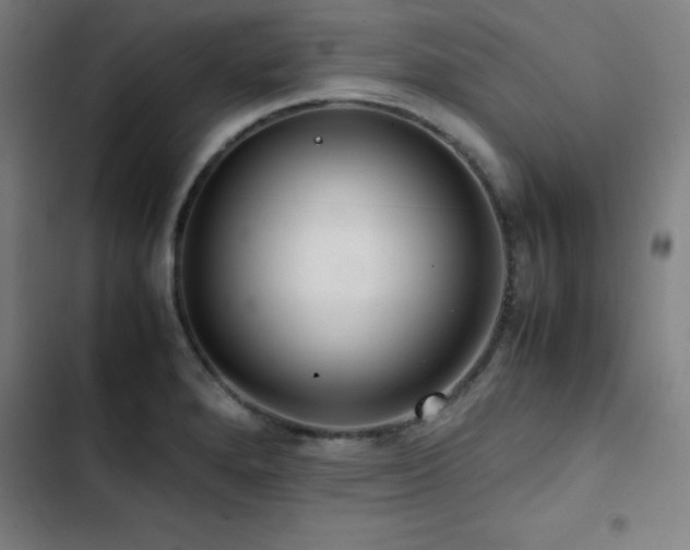 X0000103411280200809121257