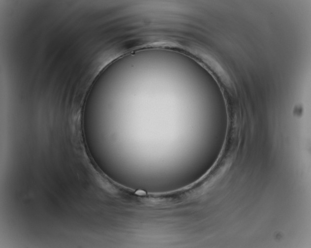 X0000103411281200809121257