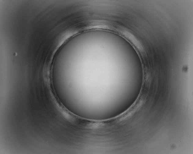 X0000103411282200809121257