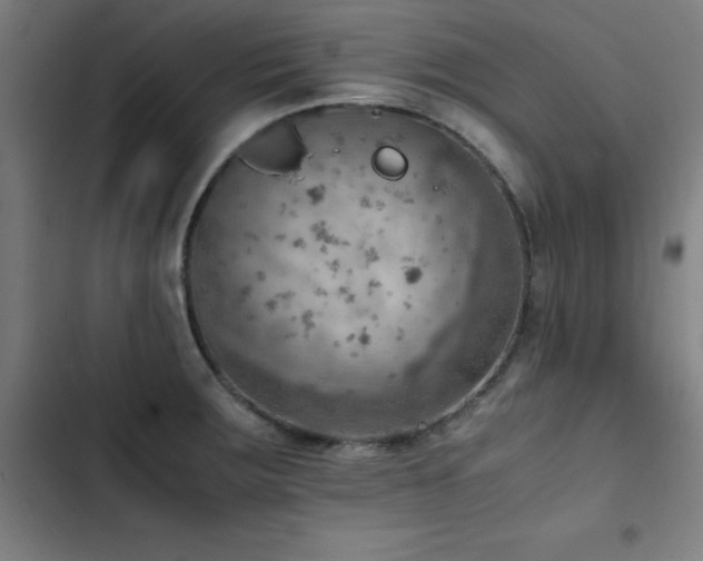 X0000103411283200809121257