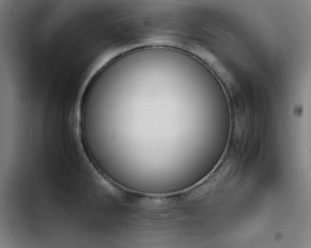 X0000103411286200809121257