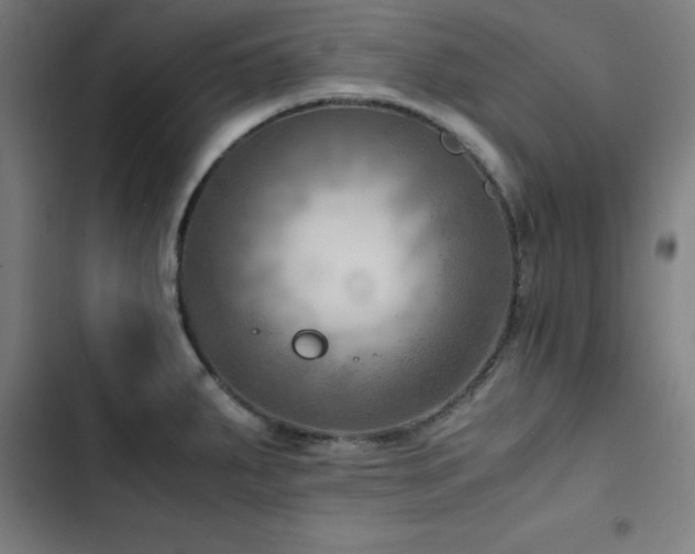 X0000103411287200809121257