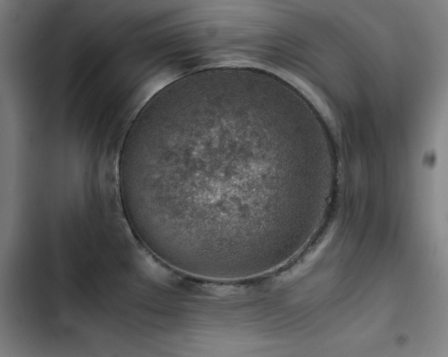 X0000103411289200809121257