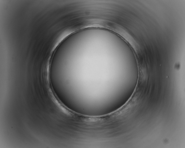 X0000103411290200809121257