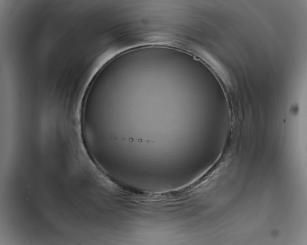 X0000103411291200809121257