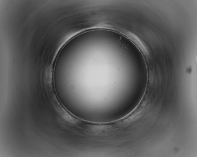 X0000103411292200809121257