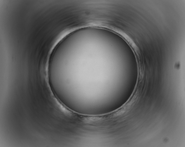 X0000103411294200809121257