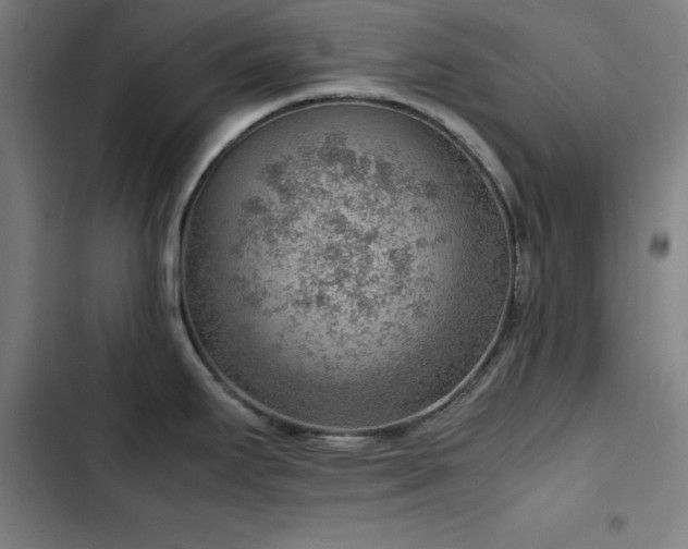 X0000103411295200809121257