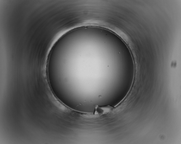 X0000103411296200809121257