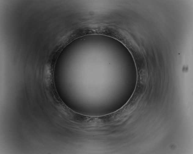 X0000103411298200809121256