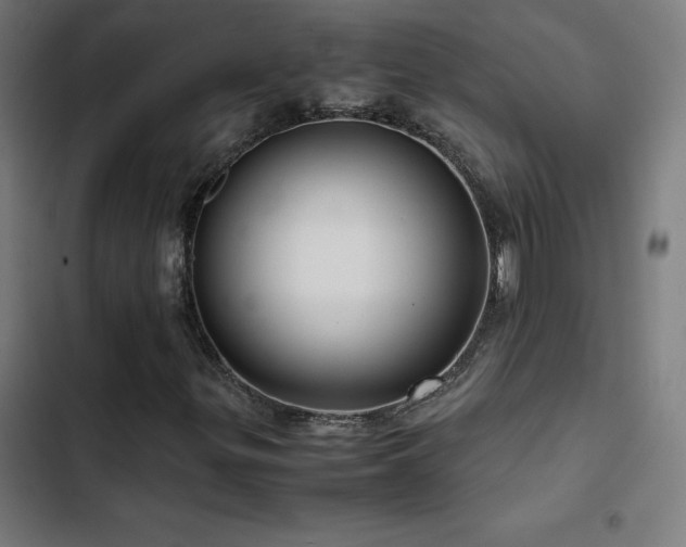 X0000103411299200809121256