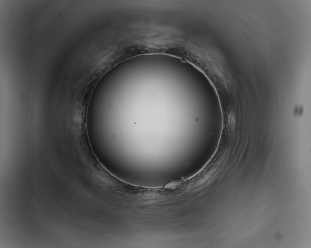 X0000103411300200809121256