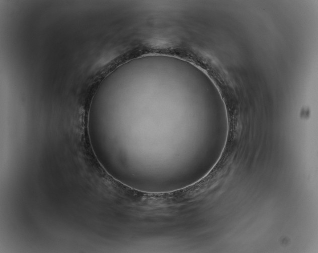 X0000103411301200809121256