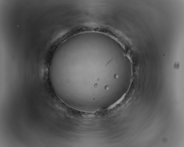 X0000103411302200809121256