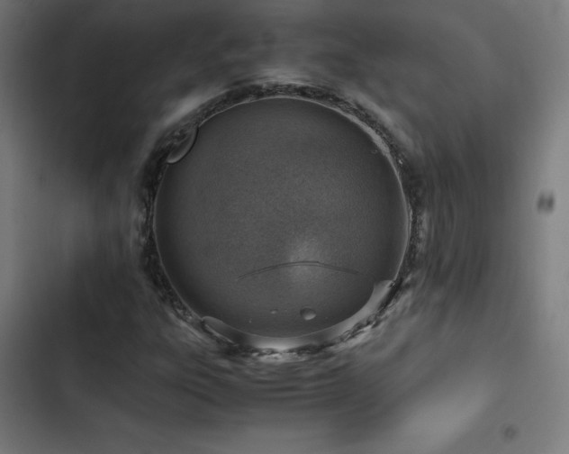 X0000103411303200809121256