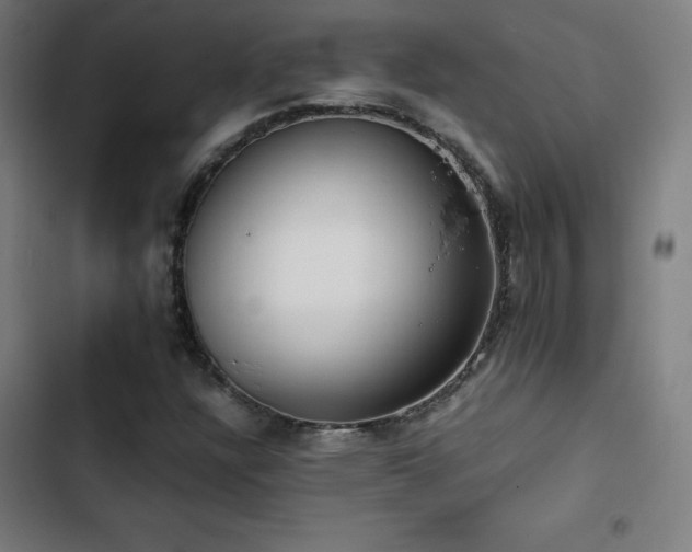 X0000103411304200809121256