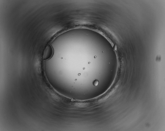 X0000103411305200809121256