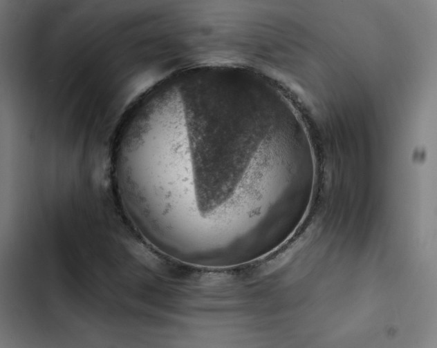 X0000103411306200809121256