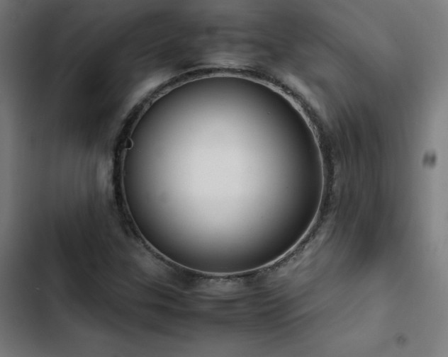 X0000103411307200809121256