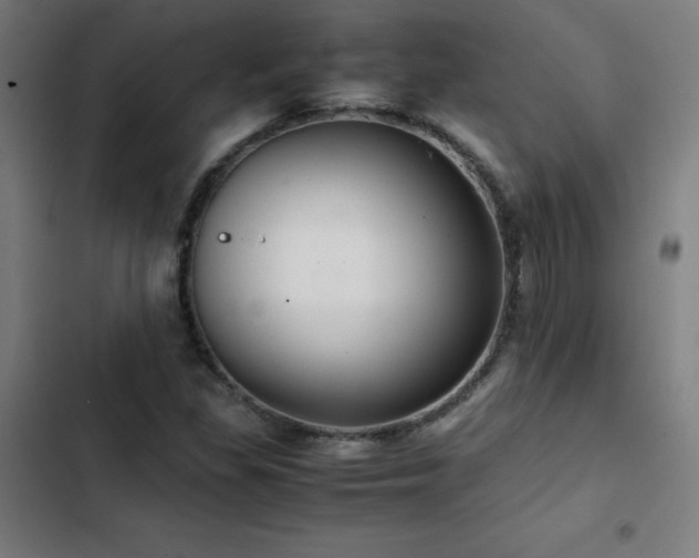 X0000103411309200809121256