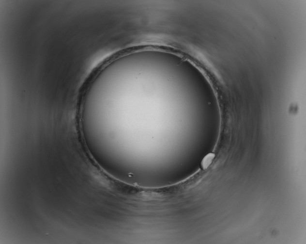 X0000103411312200809121256