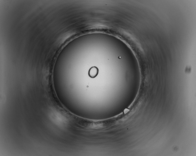 X0000103411313200809121256