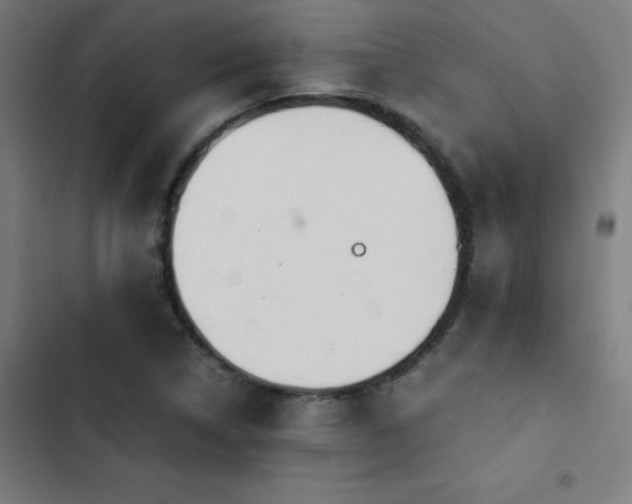 X0000103411314200809121256